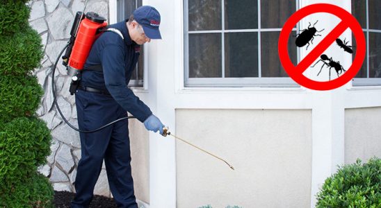 Aşkale Böcek ve Haşere İlaçlama böcek ilaçlama ve haşere kontrolü — ilaclama-tr.com